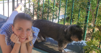 clarisse pet sitter à AMIENS 80000_3