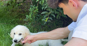 augustin pet sitter à ISSY LES MOULINEAUX 92130_2