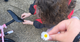 narimane pet sitter à LA COURNEUVE 93120_0