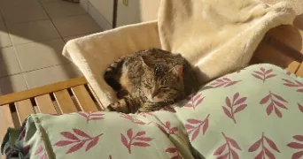 magalie pet sitter à LONS LE SAUNIER 39000