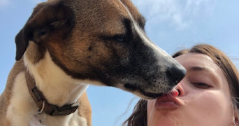 charlotte pet sitter à MANTES LA JOLIE 78200_1