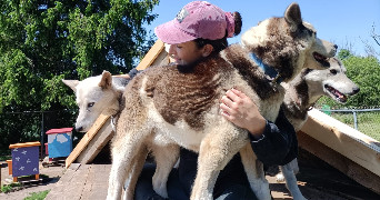 lou pet sitter à VILLARD DE LANS 38250_3