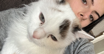 celia pet sitter à LIMOGES 87100_6