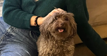 noémie pet sitter à YERRES 91330_1