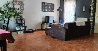 emma pet sitter à MIONS 69780_3