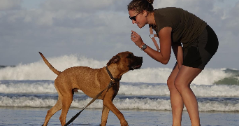 salomé pet sitter à ST ETIENNE LES REMIREMONT 88200_2