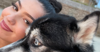 sara pet sitter à ST MALO 35400_1