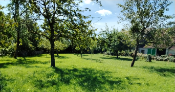 benedicte pet sitter à Longeau percey 52250_3