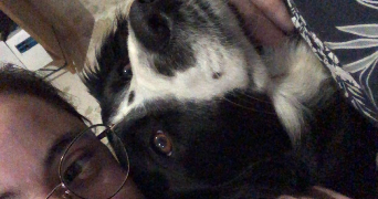 lucie pet sitter à POITIERS 86000_1