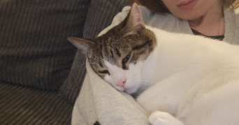 charlotte pet sitter à PUGET SUR ARGENS 83480_4