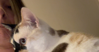 maelle pet sitter à MAROMME 76150_1