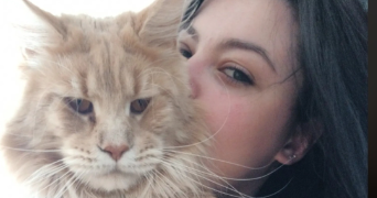 amelie pet sitter à Limoges 87000_1