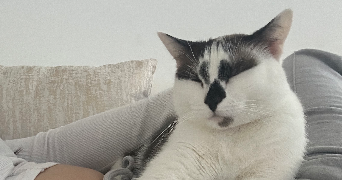 marion pet sitter à LILLE 59800_4