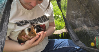 amandine pet sitter à ST MARTIN LESTRA 42110_5