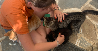 clara pet sitter à LAGORCE 33230_5