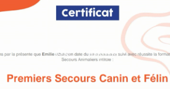 emilie pet sitter à BEGLES 33130_3