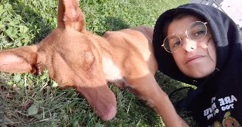 julie pet sitter à PREE D ANJOU 53200