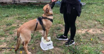 lucie pet sitter à METZ 57000_2