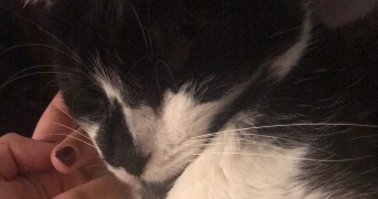 laetitia pet sitter à BORDEAUX 33000_1
