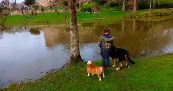 lola pet sitter à MONTEVRAIN 77144