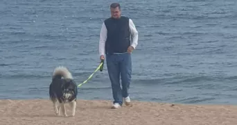 steven pet sitter à CHALON SUR SAONE 71100