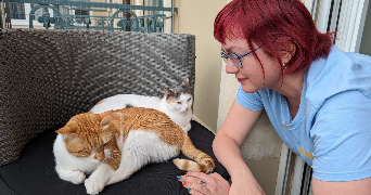 marie cat sitter à GRENOBLE 38000_2