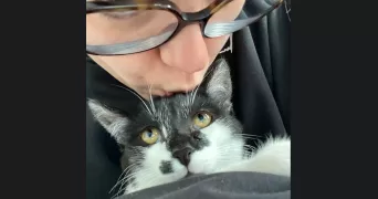 lucie pet sitter à ANGERS 49000