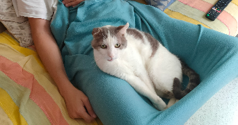 nafis pet sitter à VANVES 92170_1