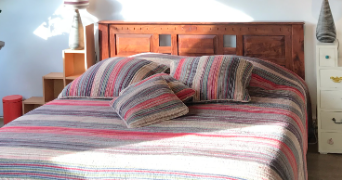 hannah pet sitter à PARIS 09 75009_4