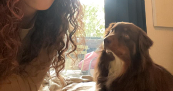 léa pet sitter à MONTPELLIER 34090_2