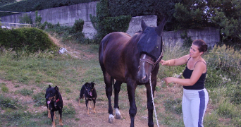 cecile pet sitter à ST ETIENNE DE FONTBELLON 07200_1