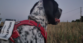 jessica pet sitter à CHAMPIS 07440_9