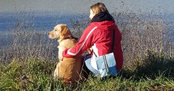 cynthia pet sitter à MERENVIELLE 31530