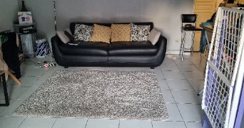 audrey pet sitter à MONTPELLIER 34080_3