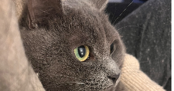 bénédicte pet sitter à CHARENTON LE PONT 94220_1