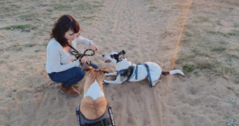 virginie pet sitter à ST PIERRE DU BOSGUERARD 27370_2