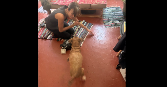 léa-fleur pet sitter à MARSEILLE 06 13006_9