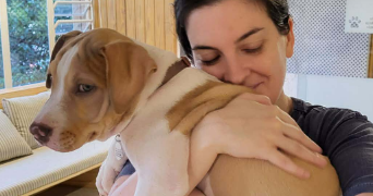lisa pet sitter à LE SOLER 66270_0