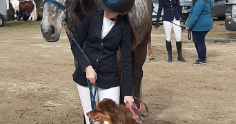 océane pet sitter à ST MARTIN EN BRESSE 71620_9