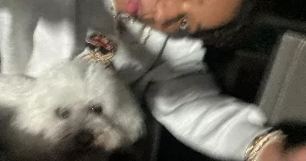 loumnia pet sitter à BORDEAUX 33300