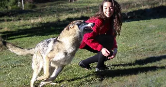 zoé pet sitter à AOUSTE SUR SYE 26400