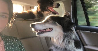 elodie pet sitter à NICE 06000_8