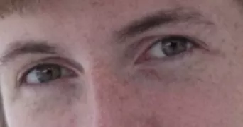 nicolas pet sitter à TOURS 37000