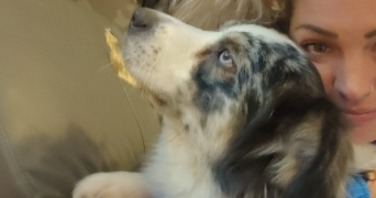 angélique  pet sitter à BOYNES 45300_10