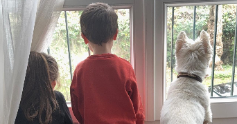 christelle pet sitter à MONTMORENCY 95160_2