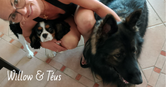 valérie pet sitter à Le Thor 84250_23
