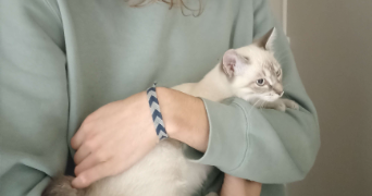 valentin pet sitter à PARIS 01 75001_0