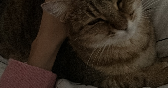 célia pet sitter à Bihorel 76420_1