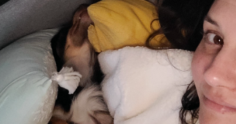 louise pet sitter à MONTREUIL 93100_1