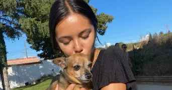 lysophy pet sitter à AIX EN PROVENCE 13100
